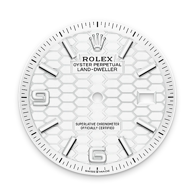 Intense white dial - Rolex Land-Dweller 36 [M127234-0001]