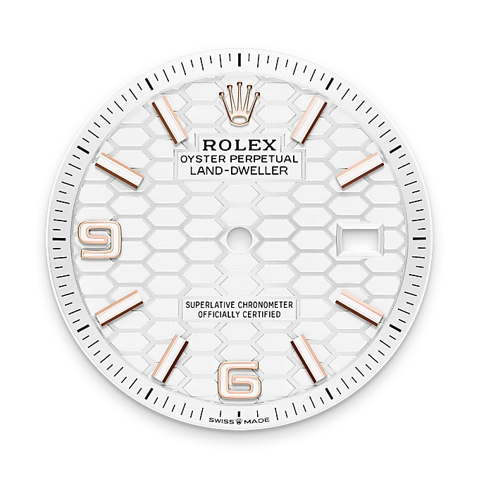 Intense white dial - Rolex Land-Dweller 36 [M127235-0001]
