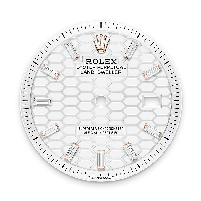Intense white dial - Rolex Land-Dweller 36 [M127285TBR-0002]