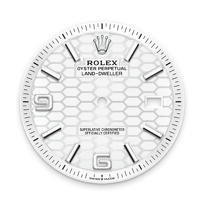 Intense white dial - Rolex Land-Dweller 40 [M127334-0001]