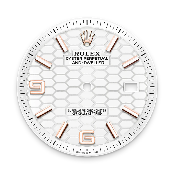Intense white dial - Rolex Land-Dweller 40 [M127335-0001]