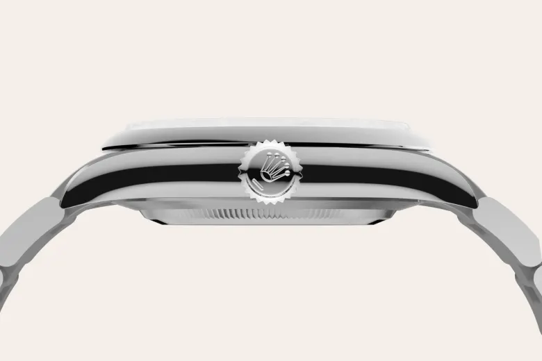 Oystersteel - Rolex Oyster Perpetual 41 [M134300-0006]
