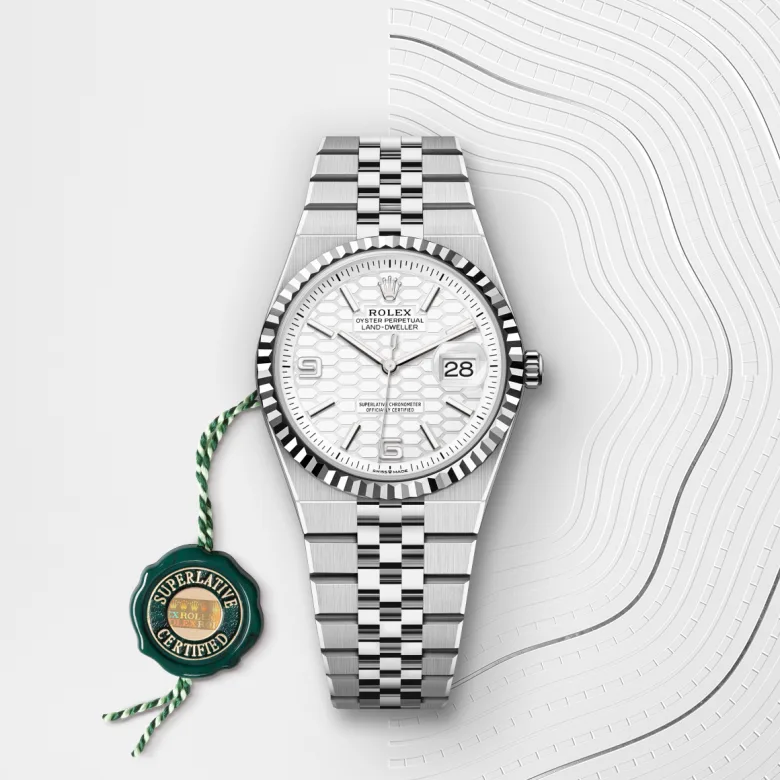 Gallery image #3 - Rolex Land-Dweller 36 [M127234-0001]
