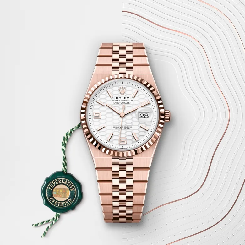 Gallery image #3 - Rolex Land-Dweller 36 [M127235-0001]