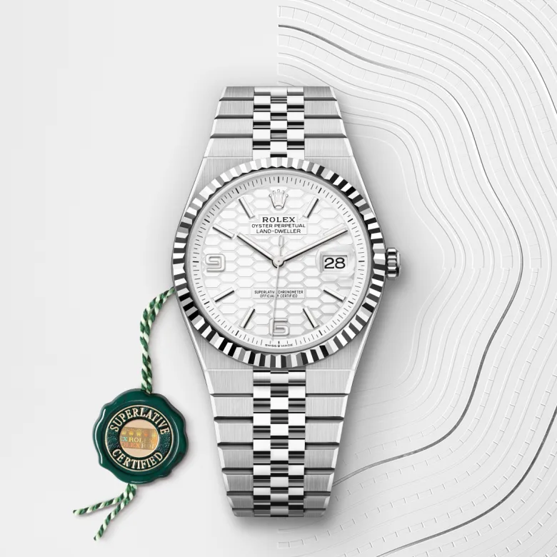 Gallery image #3 - Rolex Land-Dweller 40 [M127334-0001]