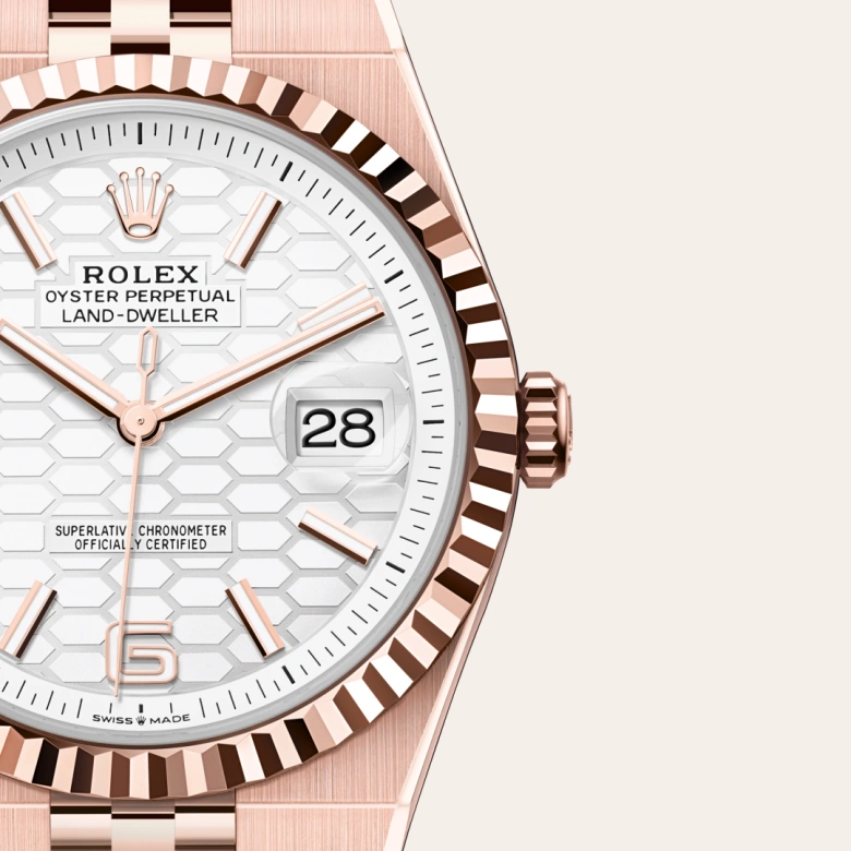 Gallery image #4 - Rolex Land-Dweller 40 [M127335-0001]