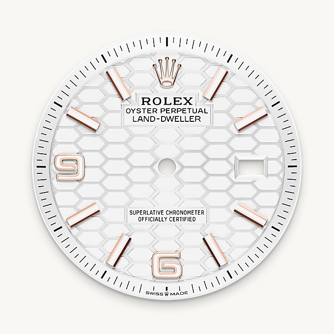 Intense white dial - Rolex Land-Dweller 36 [M127235-0001]
