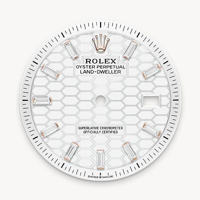 Intense white dial - Rolex Land-Dweller 36 [M127285TBR-0002]