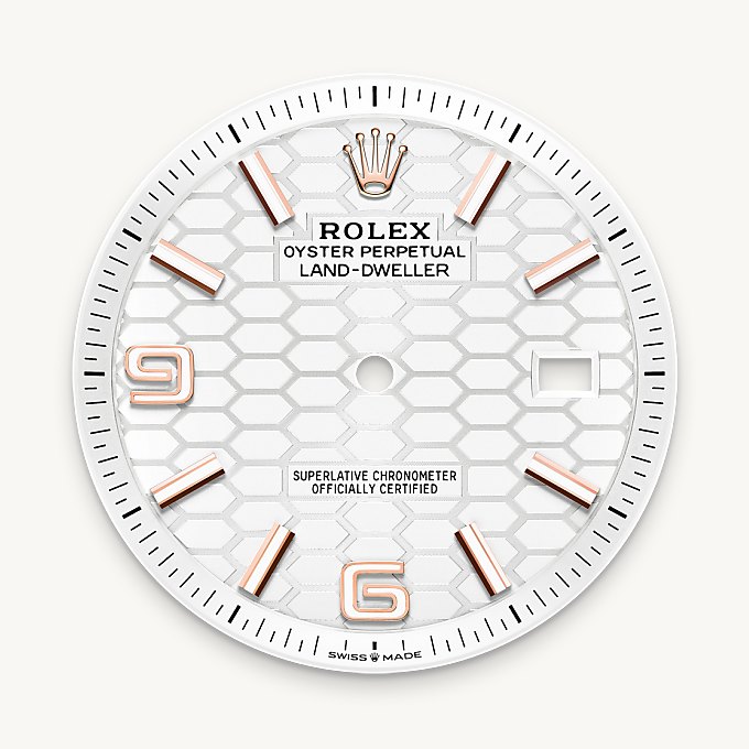 Intense white dial - Rolex Land-Dweller 40 [M127335-0001]