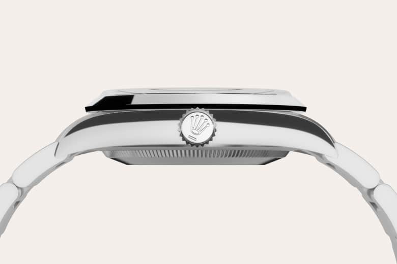 Oystersteel - Rolex Explorer 36 [M124270-0001]