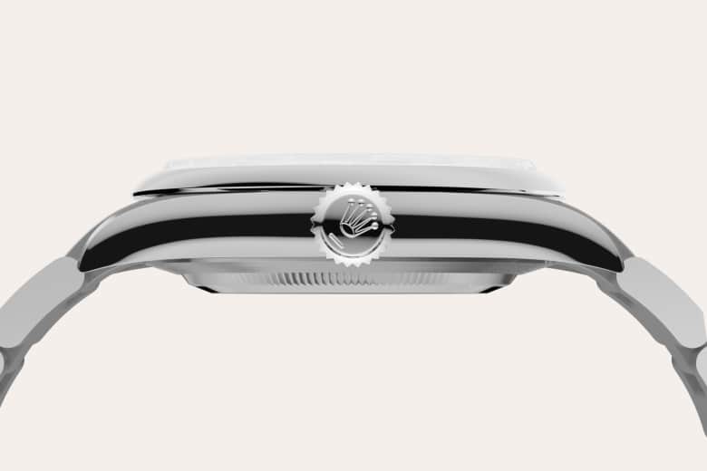 Oystersteel - Rolex Oyster Perpetual 41 [M134300-0004]