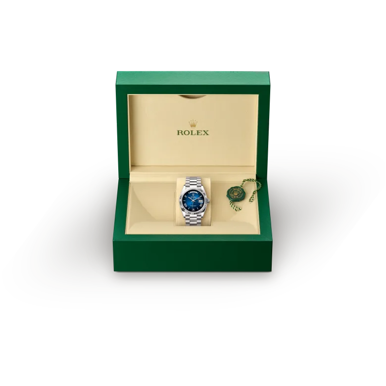 Presentation box - Rolex Day-Date 36 [M128239-0063]