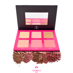 Shaina B. Miami eyeshadow collection