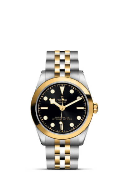 TUDOR Black Bay 31 S&G [M79603-0001]