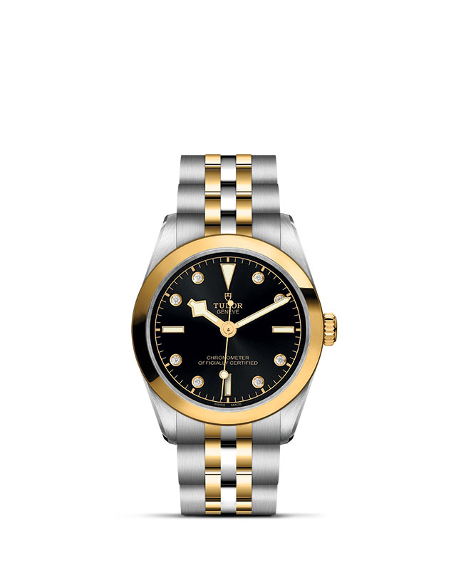 TUDOR Black Bay 31 S&G [M79603-0006]