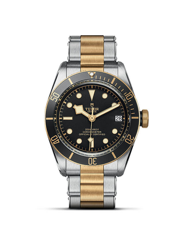 TUDOR Black Bay S&G [M79733n-0008]