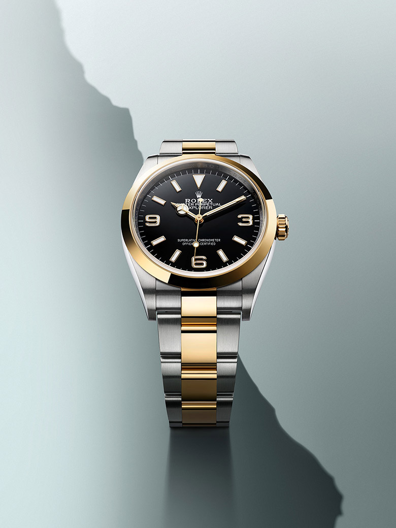 Professional watches - Rolex - Explorer